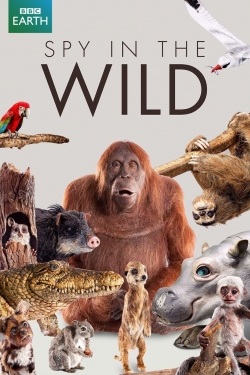 watch free Spy in the Wild hd online