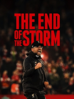 watch free The End of the Storm hd online