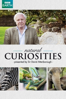 watch free David Attenborough's Natural Curiosities hd online