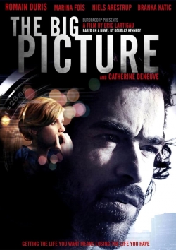 watch free The Big Picture hd online