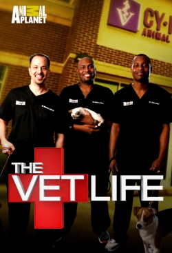 watch free The Vet Life hd online