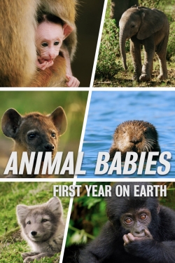 watch free Animal Babies: First Year On Earth hd online