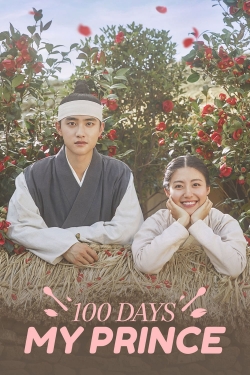 watch free 100 Days My Prince hd online