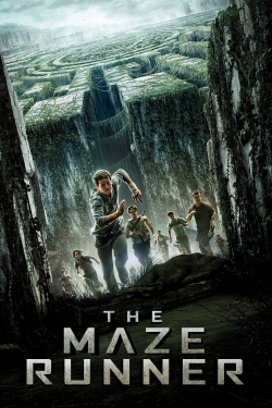 watch free The Maze Runner hd online