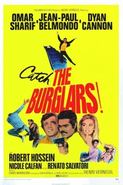 watch free The Burglars hd online