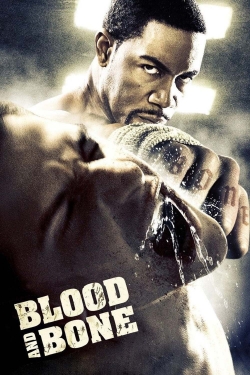 watch free Blood and Bone hd online