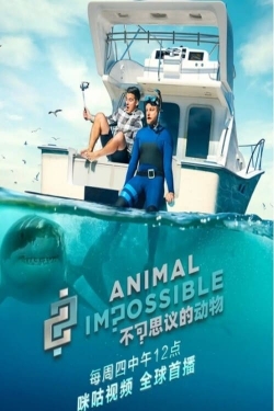 watch free Animal Impossible hd online