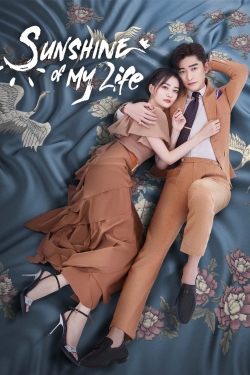 watch free Sunshine of My Life hd online