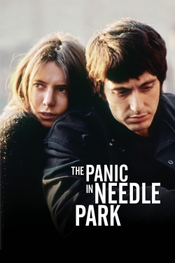 watch free The Panic in Needle Park hd online