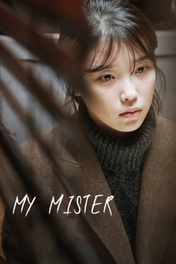 watch free My Mister hd online