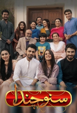 watch free Suno Chanda hd online