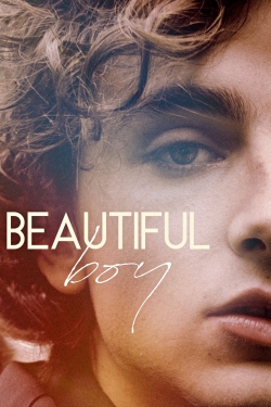 watch free Beautiful Boy hd online