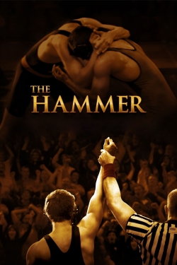 watch free The Hammer hd online