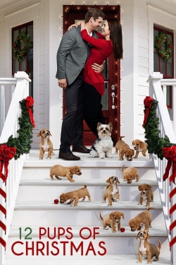 watch free 12 Pups of Christmas hd online