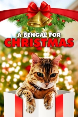 watch free A Bengal for Christmas hd online