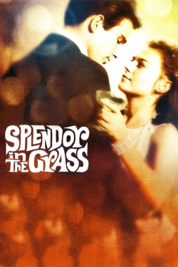 watch free Splendor in the Grass hd online