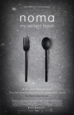 watch free Noma: My Perfect Storm hd online