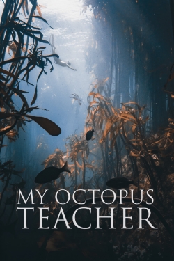 watch free My Octopus Teacher hd online