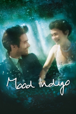 watch free Mood Indigo hd online