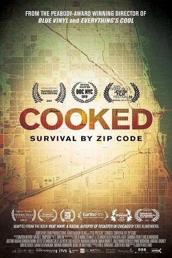 watch free Cooked: Survival by Zip Code hd online