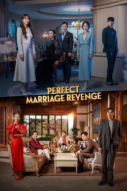 watch free Perfect Marriage Revenge hd online