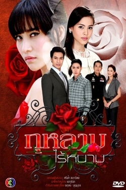 watch free Rose Without Thorns hd online