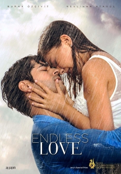 watch free Endless Love hd online