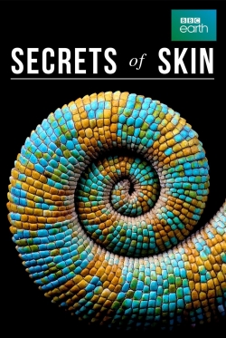 watch free Secrets of Skin hd online