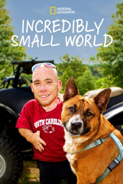 watch free Incredibly Small World hd online