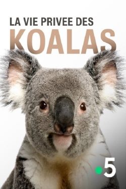 watch free La vie privée des koalas hd online