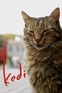 watch free Kedi hd online