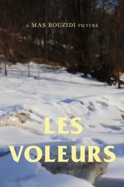 watch free Les Voleurs hd online