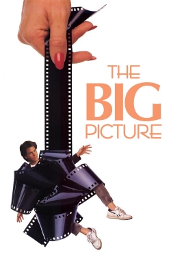 watch free The Big Picture hd online