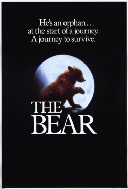 watch free The Bear hd online