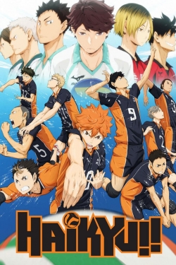 watch free Haikyu!! hd online