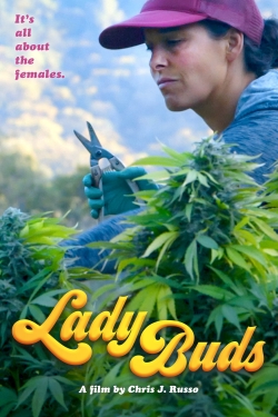 watch free Lady Buds hd online