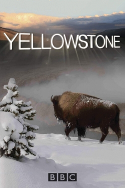 watch free Yellowstone hd online