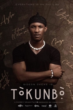 watch free Tòkunbò̩ hd online