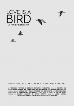 watch free Love is A Bird hd online