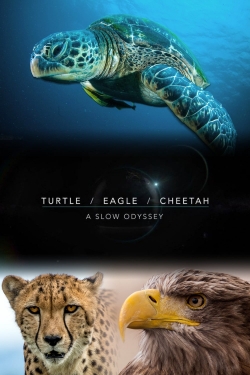 watch free Turtle, Eagle, Cheetah: A Slow Odyssey hd online