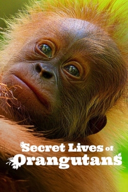 watch free Secret Lives of Orangutans hd online