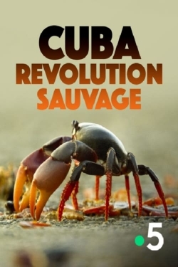 watch free Cuba, révolution sauvage hd online