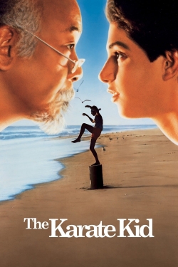 watch free The Karate Kid hd online