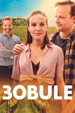 watch free 3Bobule hd online