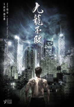 watch free The Invincible Dragon hd online