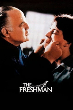 watch free The Freshman hd online