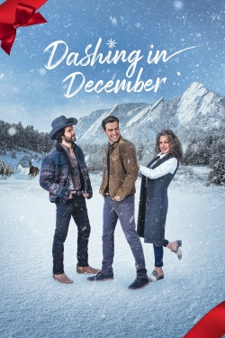 watch free Dashing in December hd online