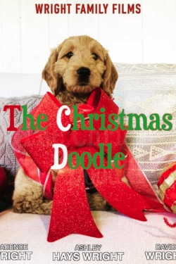 watch free The Christmas Doodle hd online