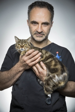 watch free The Supervet hd online