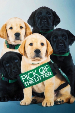 watch free Pick of the Litter hd online